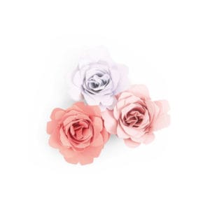 Facas de Corte Thinlits Sizzix - Rosas